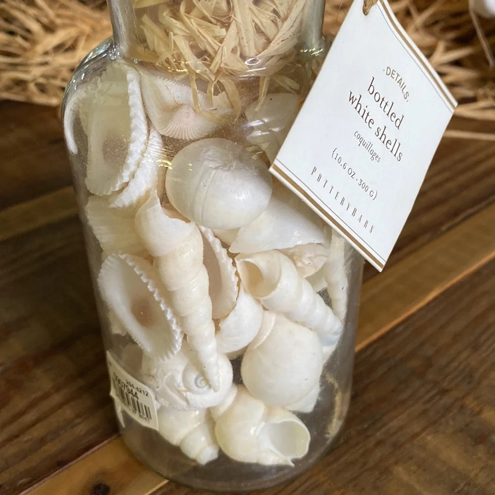 Pottery Barn Sally’s Seashore Seashells “Shells In A Bottle” Vase Filler 🐚 - Picture 9 of 16